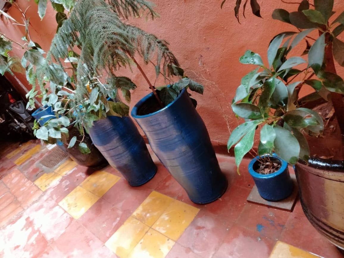 Riad Sabbah Marrakesh Ngoại thất bức ảnh